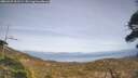 ./images/calvert/fitz-hugh-hecate/20260429/fitz-hugh-hecate20260429_161501M.jpg