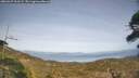 ./images/calvert/fitz-hugh-hecate/20260429/fitz-hugh-hecate20260429_163502M.jpg