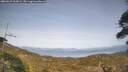 ./images/calvert/fitz-hugh-hecate/20260429/fitz-hugh-hecate20260429_164501M.jpg