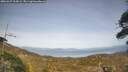 ./images/calvert/fitz-hugh-hecate/20260429/fitz-hugh-hecate20260429_165001M.jpg