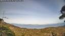 ./images/calvert/fitz-hugh-hecate/20260429/fitz-hugh-hecate20260429_172501M.jpg