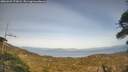 ./images/calvert/fitz-hugh-hecate/20260429/fitz-hugh-hecate20260429_173001M.jpg