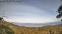 ./images/calvert/fitz-hugh-hecate/20260429/fitz-hugh-hecate20260429_173501M.jpg