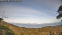 ./images/calvert/fitz-hugh-hecate/20260429/fitz-hugh-hecate20260429_174001M.jpg