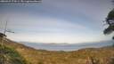 ./images/calvert/fitz-hugh-hecate/20260429/fitz-hugh-hecate20260429_174501M.jpg
