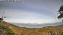 ./images/calvert/fitz-hugh-hecate/20260429/fitz-hugh-hecate20260429_175001M.jpg