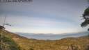 ./images/calvert/fitz-hugh-hecate/20260429/fitz-hugh-hecate20260429_175501M.jpg