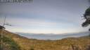 ./images/calvert/fitz-hugh-hecate/20260429/fitz-hugh-hecate20260429_180001M.jpg
