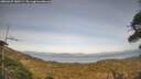 ./images/calvert/fitz-hugh-hecate/20260429/fitz-hugh-hecate20260429_180501M.jpg