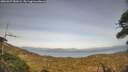 ./images/calvert/fitz-hugh-hecate/20260429/fitz-hugh-hecate20260429_181002M.jpg