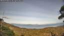 ./images/calvert/fitz-hugh-hecate/20260429/fitz-hugh-hecate20260429_181501M.jpg