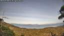 ./images/calvert/fitz-hugh-hecate/20260429/fitz-hugh-hecate20260429_182001M.jpg