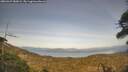 ./images/calvert/fitz-hugh-hecate/20260429/fitz-hugh-hecate20260429_183001M.jpg