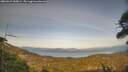 ./images/calvert/fitz-hugh-hecate/20260429/fitz-hugh-hecate20260429_185002M.jpg