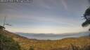 ./images/calvert/fitz-hugh-hecate/20260429/fitz-hugh-hecate20260429_190501M.jpg