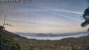 ./images/calvert/fitz-hugh-hecate/20260429/fitz-hugh-hecate20260429_202502M.jpg