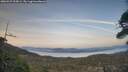 ./images/calvert/fitz-hugh-hecate/20260429/fitz-hugh-hecate20260429_203002M.jpg