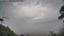 ./images/calvert/fitz-hugh-hecate/20260430/fitz-hugh-hecate20260430_080501M.jpg
