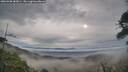 ./images/calvert/fitz-hugh-hecate/20260430/fitz-hugh-hecate20260430_081001M.jpg