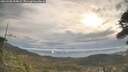 ./images/calvert/fitz-hugh-hecate/20260430/fitz-hugh-hecate20260430_084001M.jpg