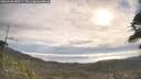 ./images/calvert/fitz-hugh-hecate/20260430/fitz-hugh-hecate20260430_085501M.jpg