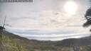 ./images/calvert/fitz-hugh-hecate/20260430/fitz-hugh-hecate20260430_092501M.jpg