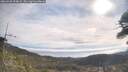 ./images/calvert/fitz-hugh-hecate/20260430/fitz-hugh-hecate20260430_094002M.jpg