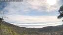 ./images/calvert/fitz-hugh-hecate/20260430/fitz-hugh-hecate20260430_100002M.jpg