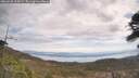 ./images/calvert/fitz-hugh-hecate/20260430/fitz-hugh-hecate20260430_115001M.jpg