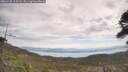 ./images/calvert/fitz-hugh-hecate/20260430/fitz-hugh-hecate20260430_115502M.jpg