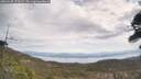 ./images/calvert/fitz-hugh-hecate/20260430/fitz-hugh-hecate20260430_121001M.jpg
