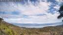 ./images/calvert/fitz-hugh-hecate/20260430/fitz-hugh-hecate20260430_135002M.jpg