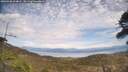 ./images/calvert/fitz-hugh-hecate/20260430/fitz-hugh-hecate20260430_144001M.jpg