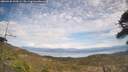 ./images/calvert/fitz-hugh-hecate/20260430/fitz-hugh-hecate20260430_144501M.jpg