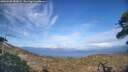 ./images/calvert/fitz-hugh-hecate/20260430/fitz-hugh-hecate20260430_183001M.jpg