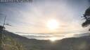 ./images/calvert/fitz-hugh-hecate/20260501/fitz-hugh-hecate20260501_072501M.jpg