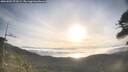 ./images/calvert/fitz-hugh-hecate/20260501/fitz-hugh-hecate20260501_073501M.jpg