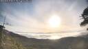 ./images/calvert/fitz-hugh-hecate/20260501/fitz-hugh-hecate20260501_074502M.jpg
