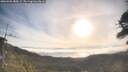 ./images/calvert/fitz-hugh-hecate/20260501/fitz-hugh-hecate20260501_080001M.jpg