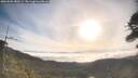 ./images/calvert/fitz-hugh-hecate/20260501/fitz-hugh-hecate20260501_080501M.jpg