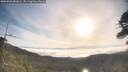 ./images/calvert/fitz-hugh-hecate/20260501/fitz-hugh-hecate20260501_081002M.jpg
