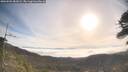 ./images/calvert/fitz-hugh-hecate/20260501/fitz-hugh-hecate20260501_083001M.jpg