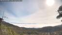 ./images/calvert/fitz-hugh-hecate/20260501/fitz-hugh-hecate20260501_095002M.jpg
