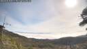 ./images/calvert/fitz-hugh-hecate/20260501/fitz-hugh-hecate20260501_095501M.jpg