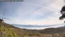 ./images/calvert/fitz-hugh-hecate/20260501/fitz-hugh-hecate20260501_111001M.jpg