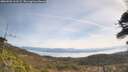 ./images/calvert/fitz-hugh-hecate/20260501/fitz-hugh-hecate20260501_111501M.jpg