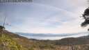 ./images/calvert/fitz-hugh-hecate/20260501/fitz-hugh-hecate20260501_112502M.jpg