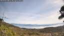 ./images/calvert/fitz-hugh-hecate/20260501/fitz-hugh-hecate20260501_114001M.jpg