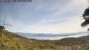 ./images/calvert/fitz-hugh-hecate/20260501/fitz-hugh-hecate20260501_120502M.jpg