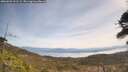 ./images/calvert/fitz-hugh-hecate/20260501/fitz-hugh-hecate20260501_121501M.jpg